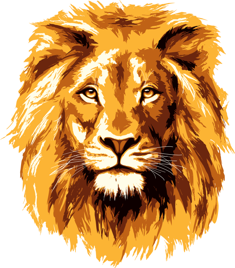 a drawing of a lion's head