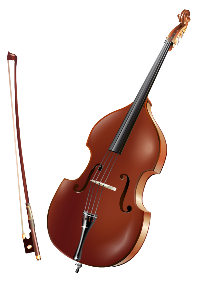a violin and a bow