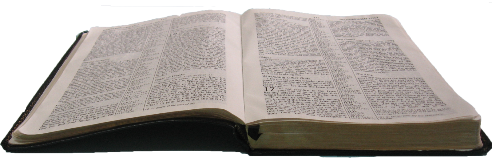 an open bible on a white background