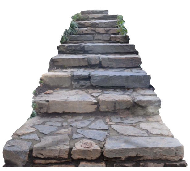 a stone step with plants growing on it