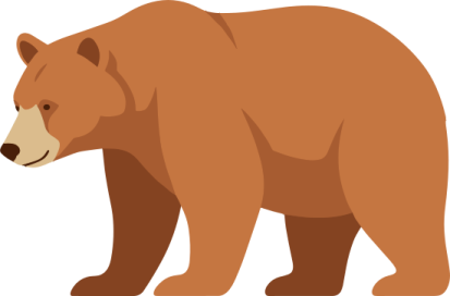 a brown bear on a white background