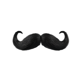 a black mustache on a white background