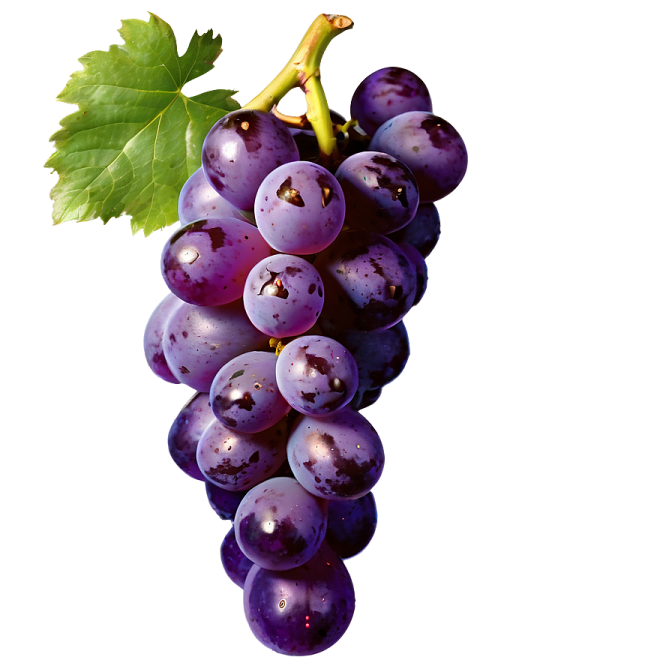a bunch of grapes on a white background