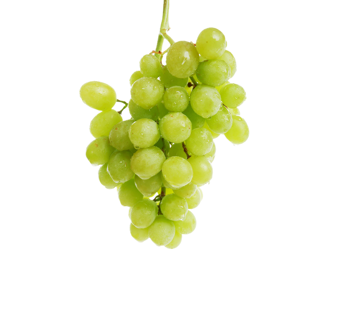 a bunch of green grapes on a white background