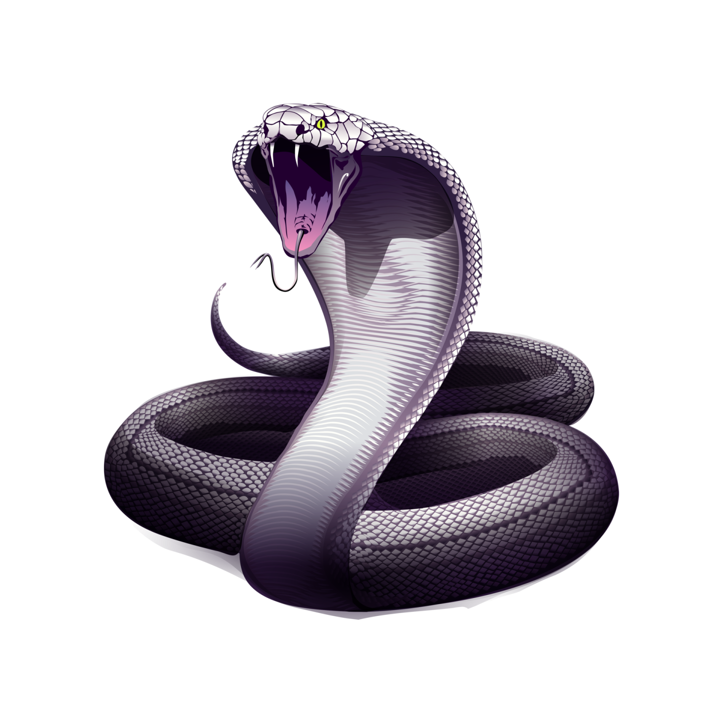 a black and white snake with its mouth open