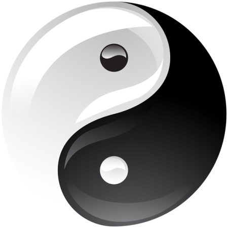 a black and white yin symbol