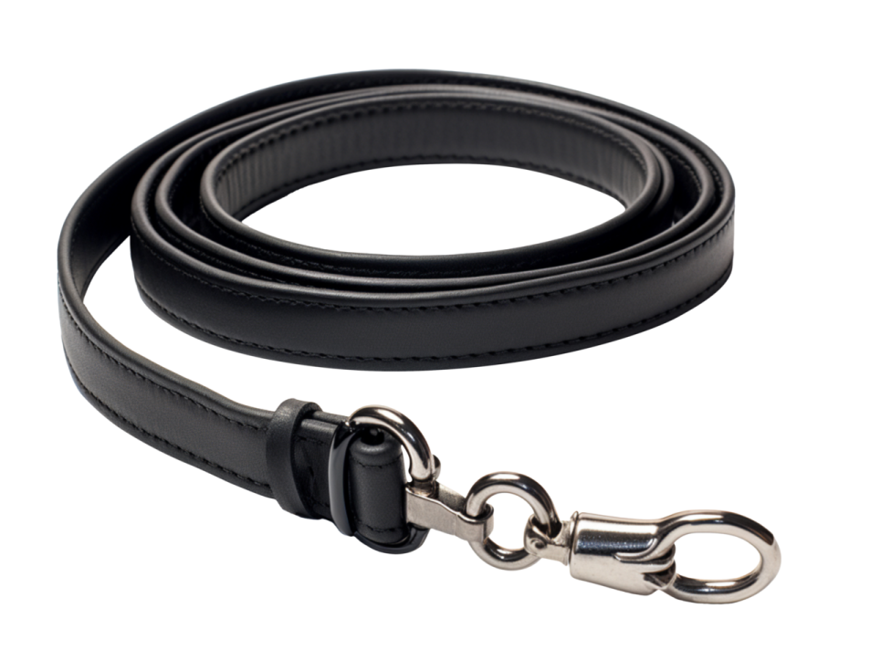 a black leather dog leash with a metal hook