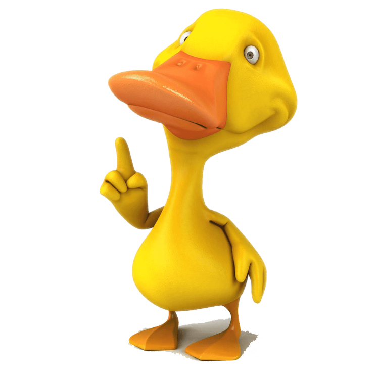 a yellow rubber duck