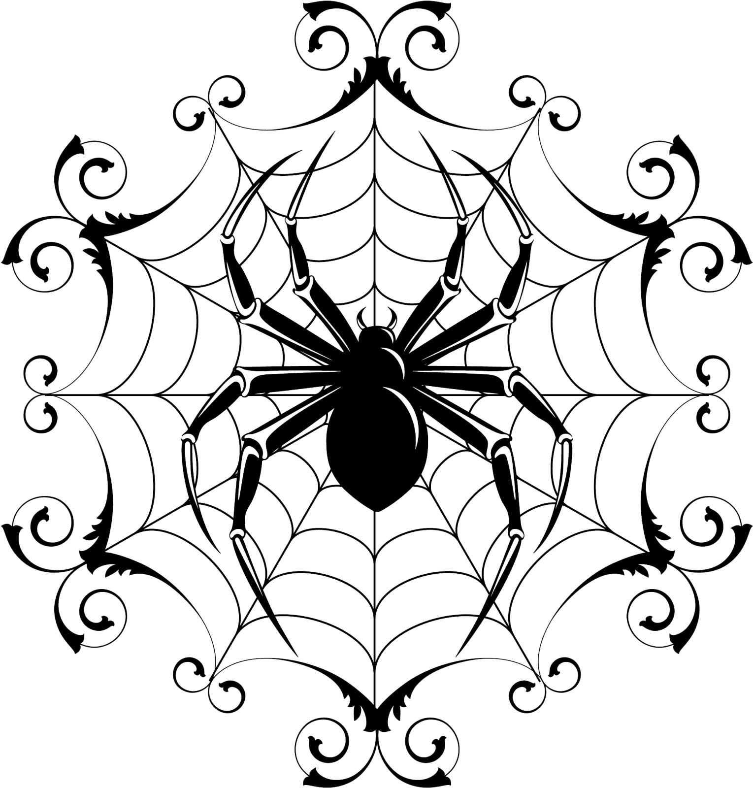 a black and white spider in the center of a web
