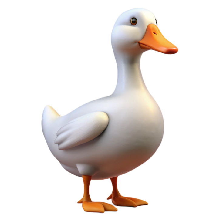 a white duck with orange feet