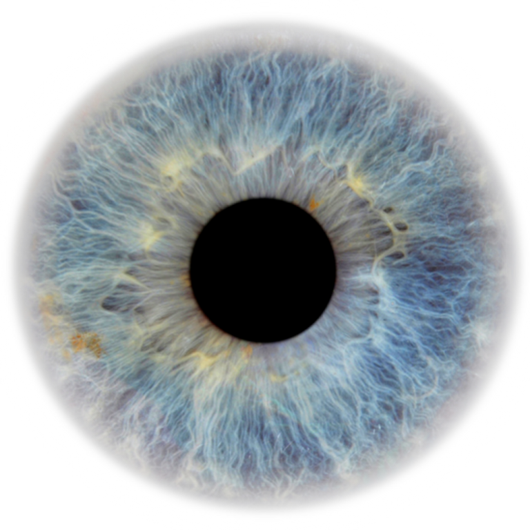 a close up view of an eye