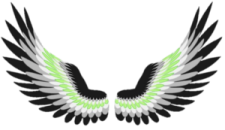a black and white wing with green accents