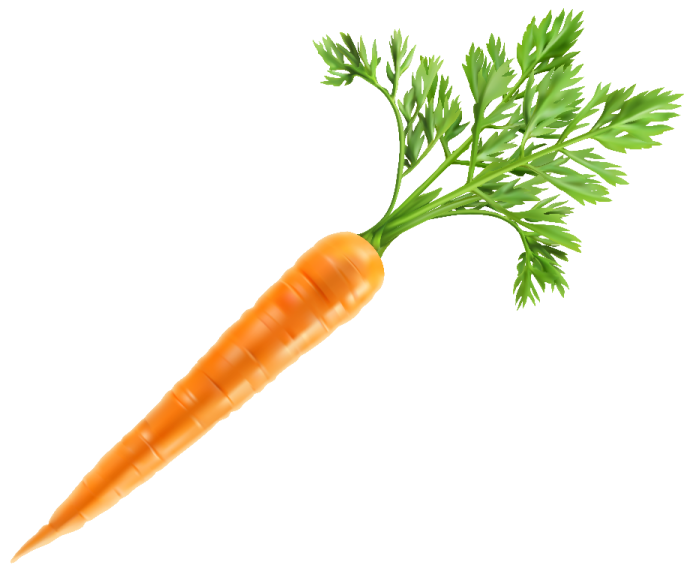 a carrot with green leaves on it