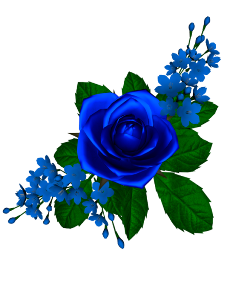 a blue rose with green leaves