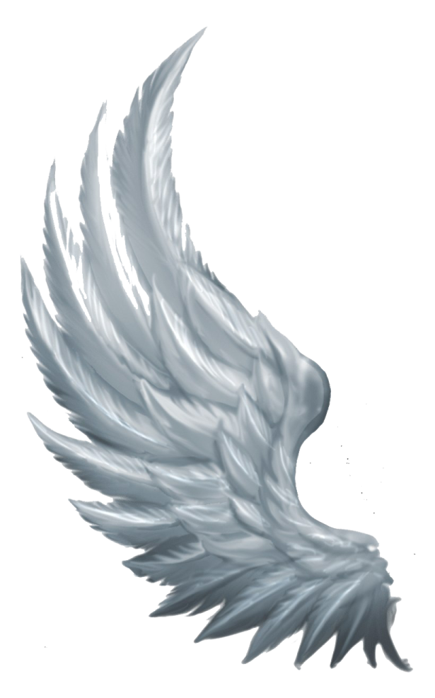 a drawing of an angel's wing