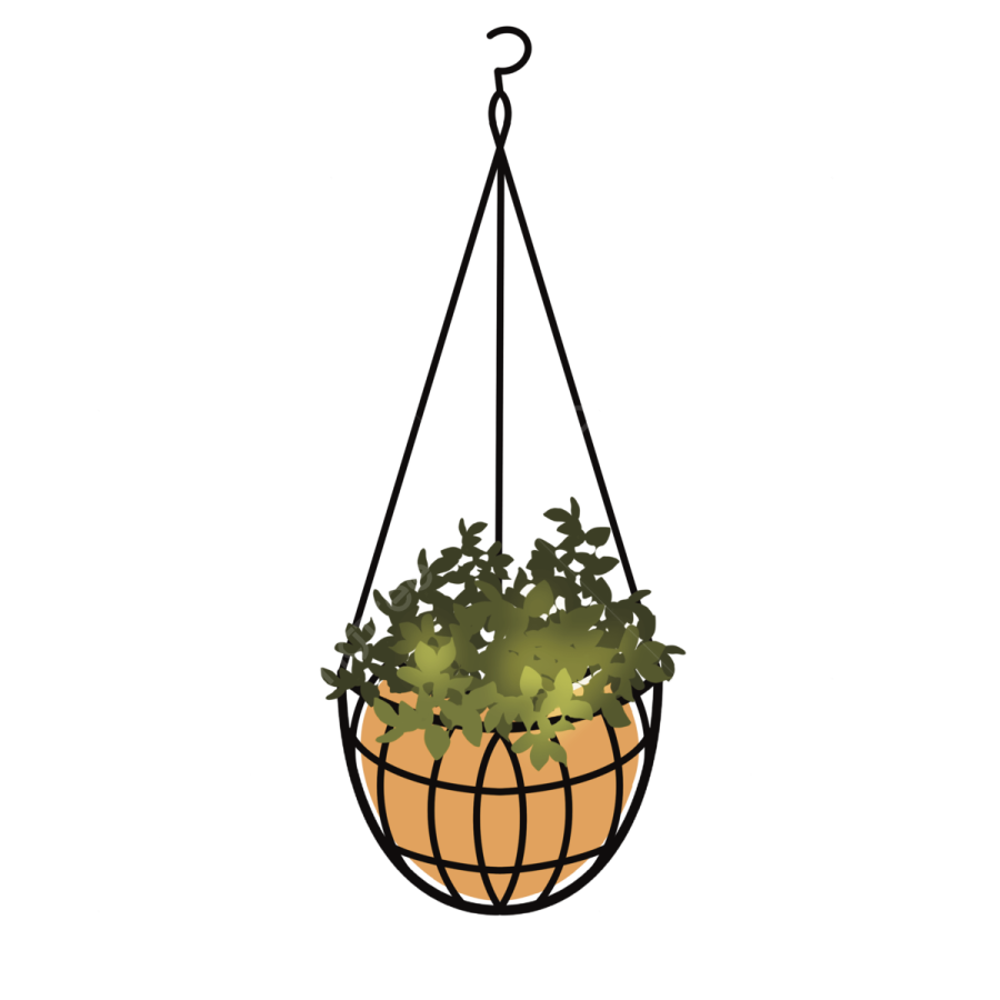 a hanging planter with plants in it