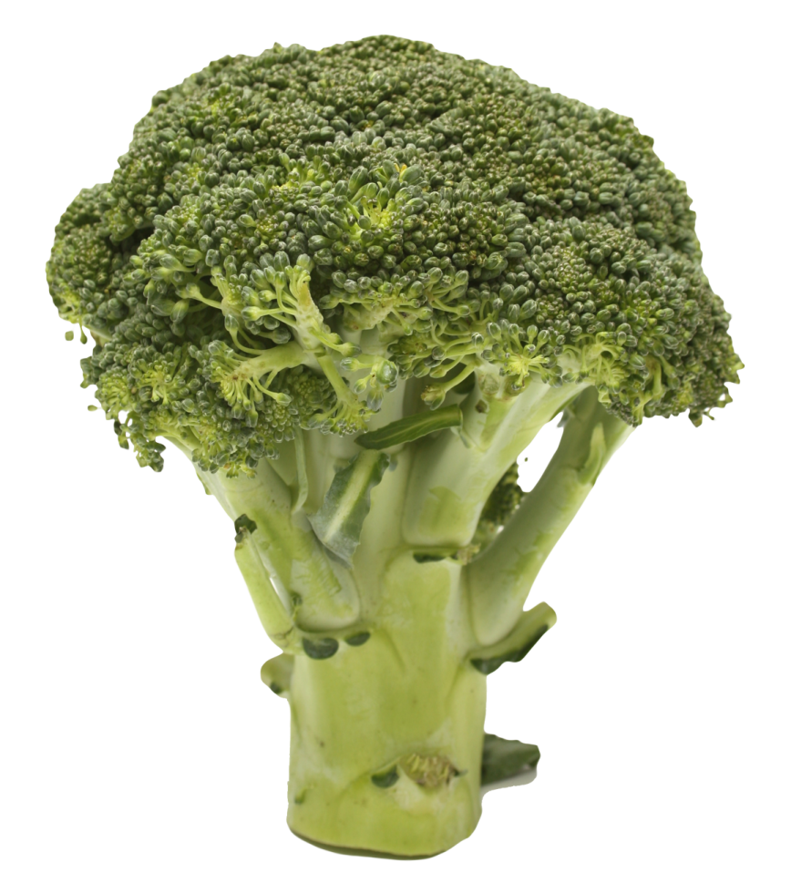 a close up of a head of broccote