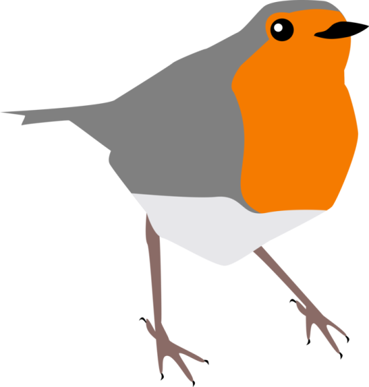 a bird with orange and gray feathers
