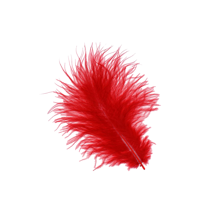 a red feather on a white background