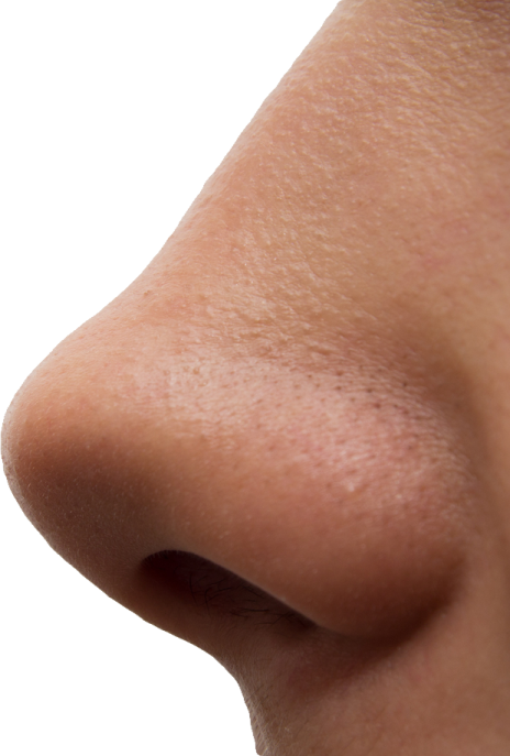 a close up view of a nose