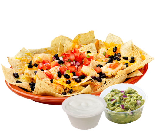 a plate filled with chips and a bowl of salsa