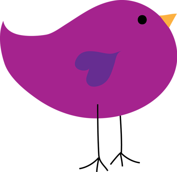 a purple bird sitting on top of a white background