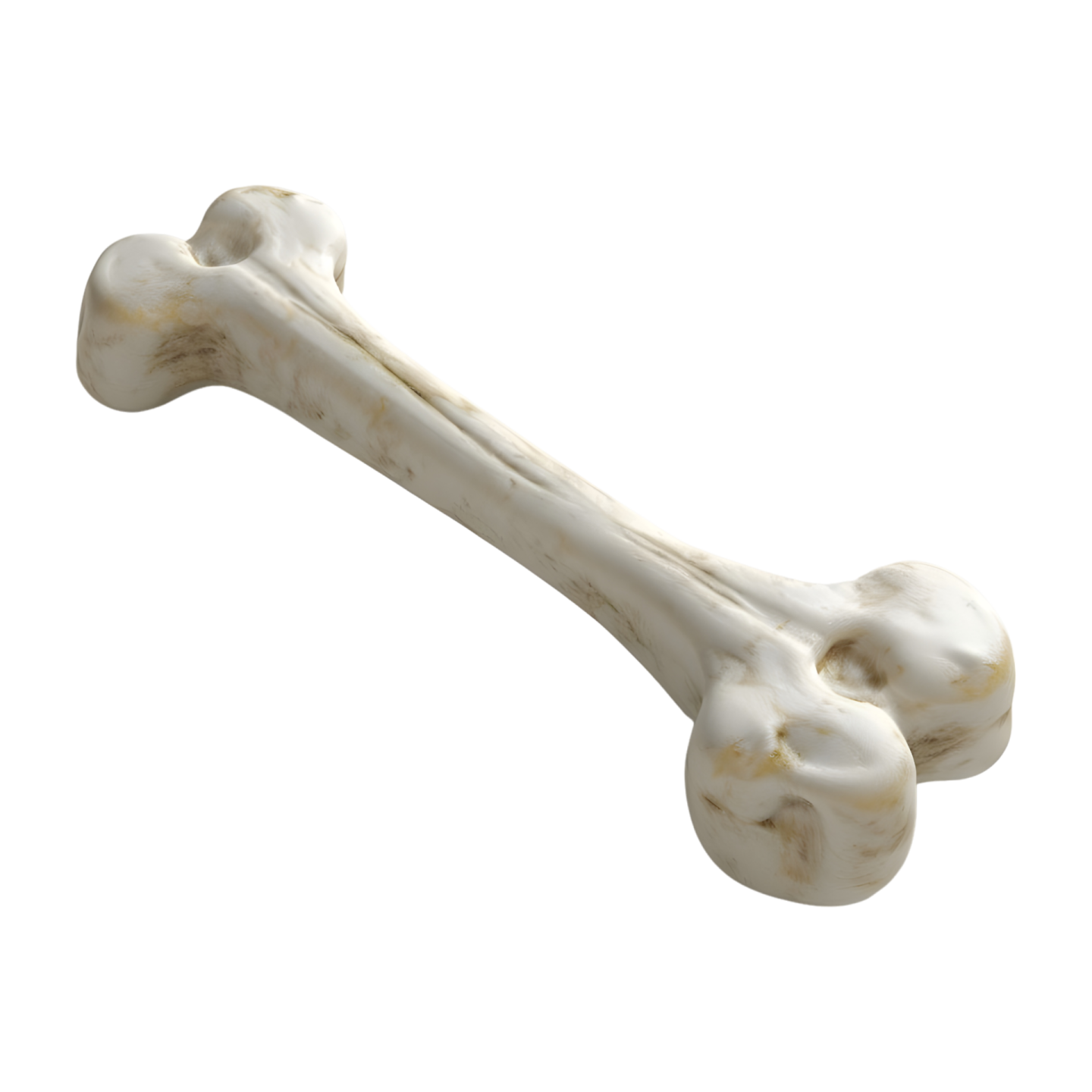 a bone bone on a white background