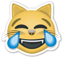 a cat with tears on its face