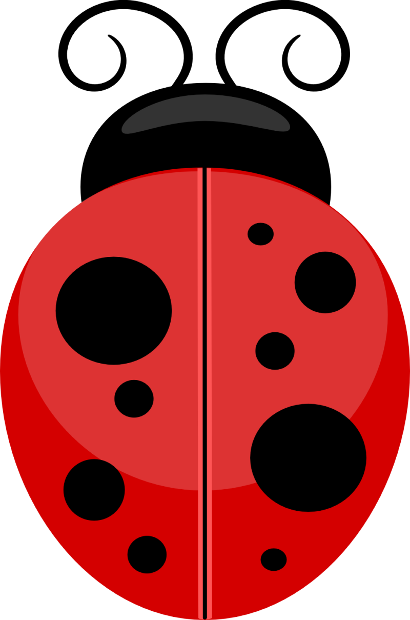 ladybug clipart - lady bug clip art