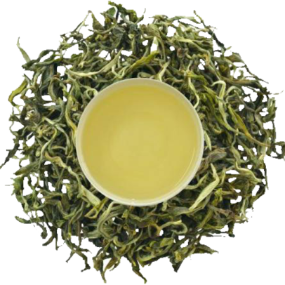 a cup of green tea on a white background