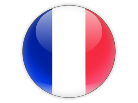 the french flag on a button