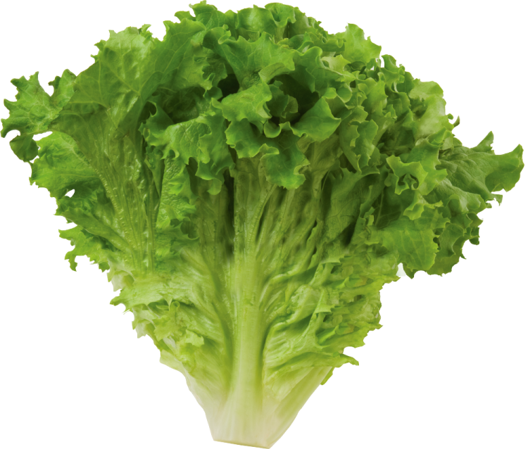 a close up of a green leafy vegetable