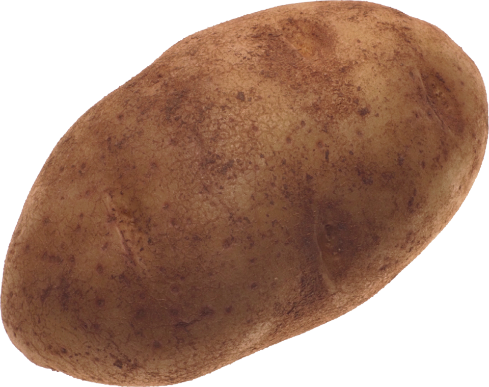 a potato on a white background