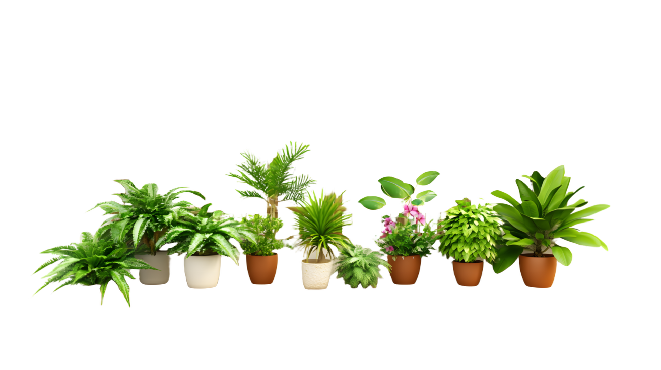 a window with potted plants on the ledge