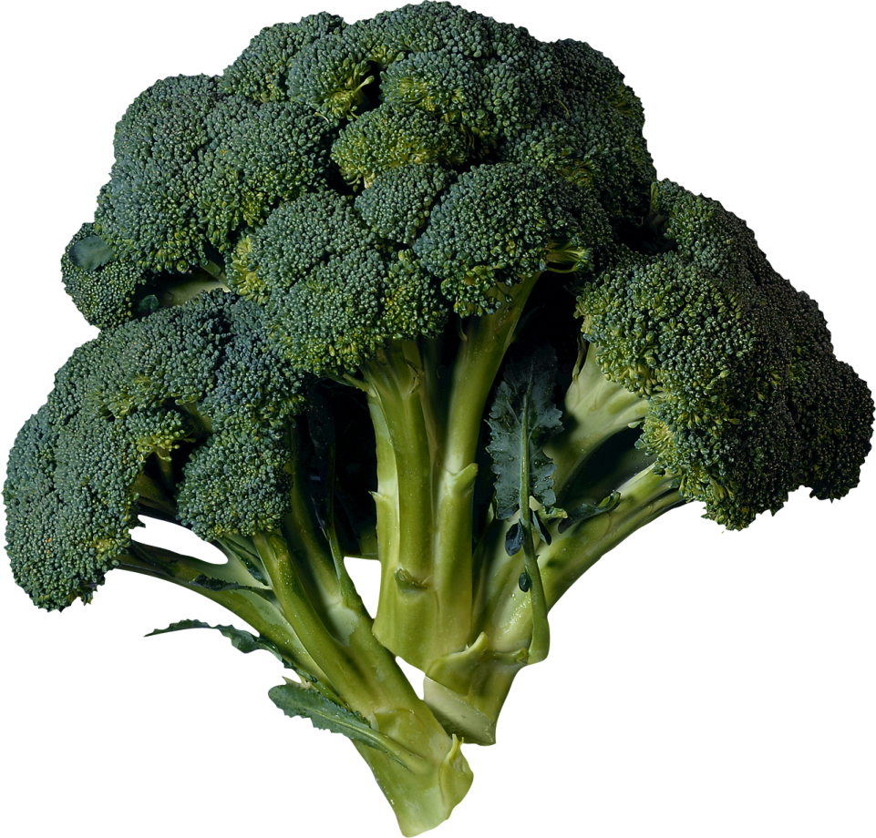 a close up of a head of broccote