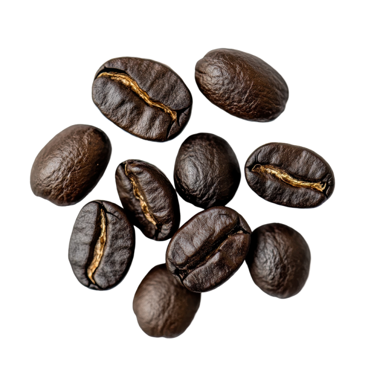 coffee beans on a white background