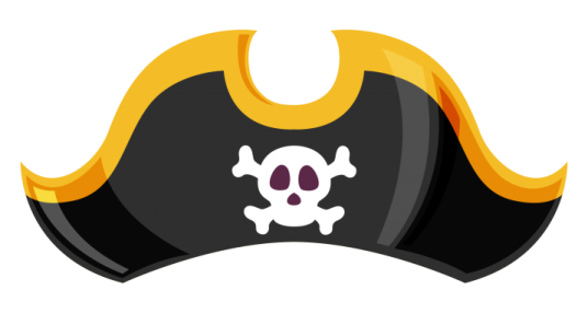 a pirate hat with a skull on it