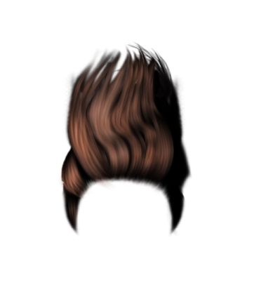 a drawing of a woman's hair