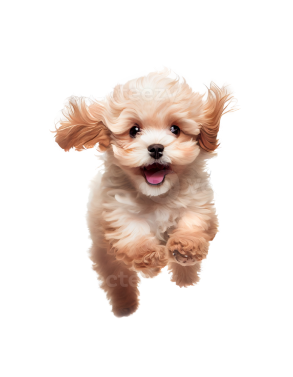 a small dog is jumping in the air