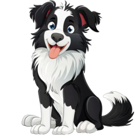 a black and white dog with its tongue out