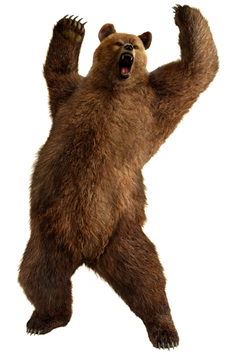 3d digital illustration of a brown bear isolated on white background