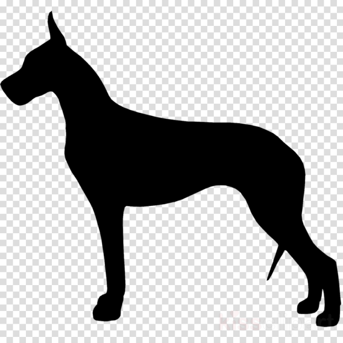 a black dog silhouette on a transparent background
