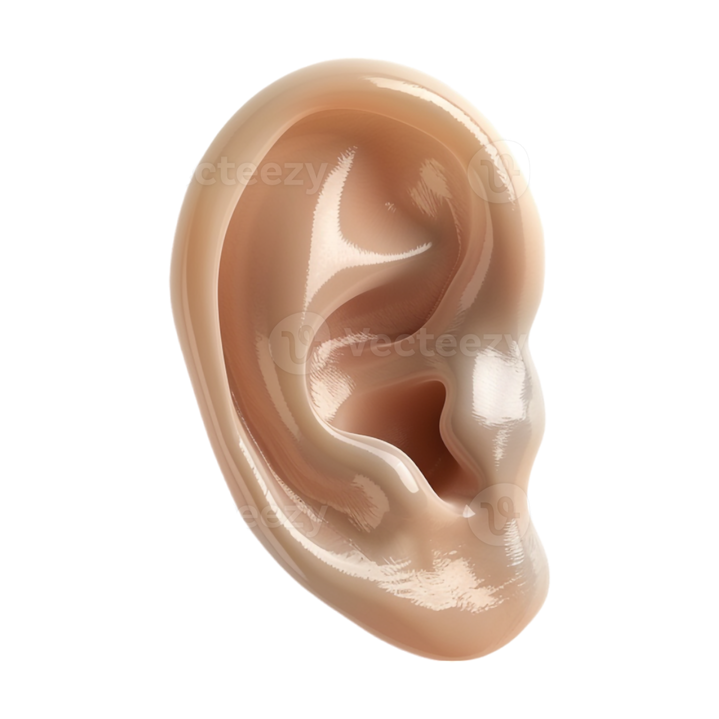 a close up view of the inside of an ear