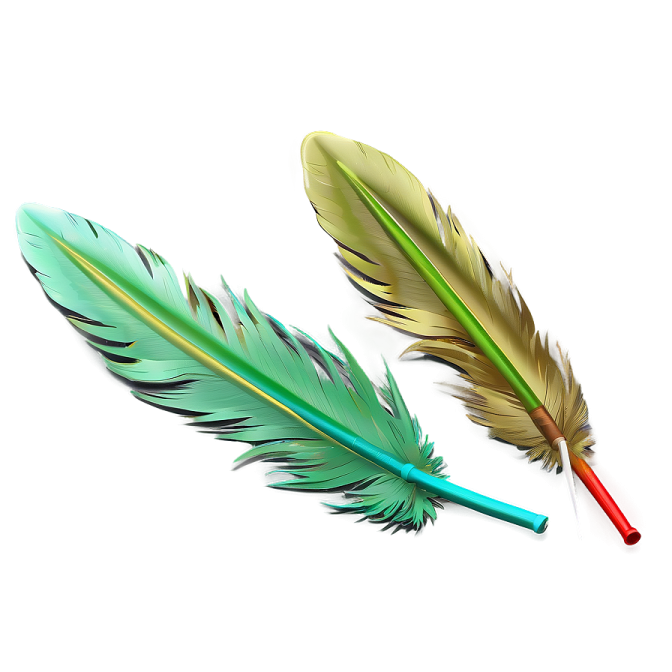 two colorful feathers on a white background