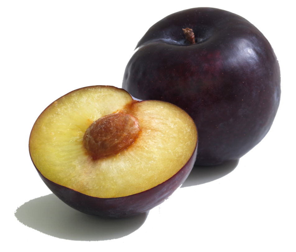 two plums on a white background