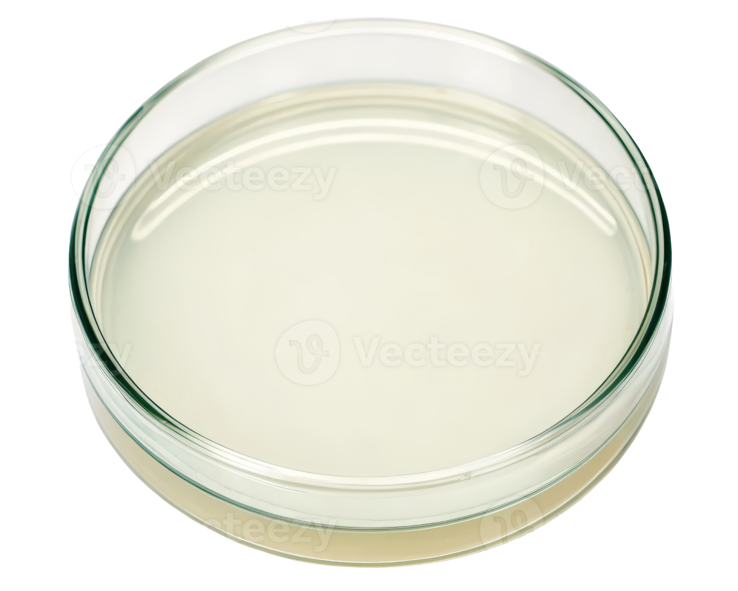 a glass bowl filled with white liquid