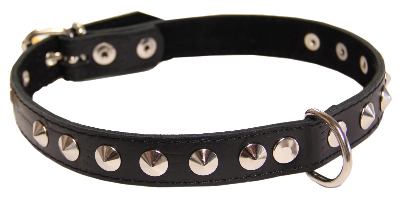 a black leather dog collar with silver studs