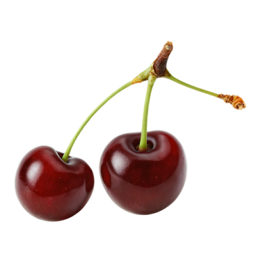 two chers on a white background