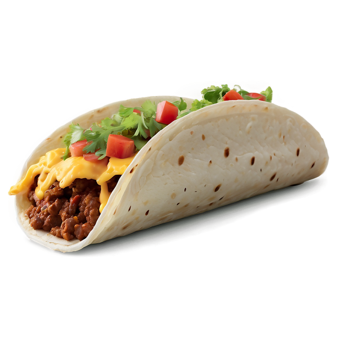a burritoa on a white background