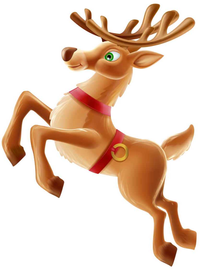 a reindeer with a red collar is running